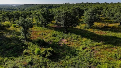 0000 Fm 61, Graham, TX 76450 - photo 2