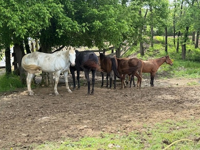 162 Yellow Springs Rd, Elizabethtown, IL 62931 - photo 6