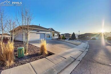 Ranch-style house with garden level walk out basem