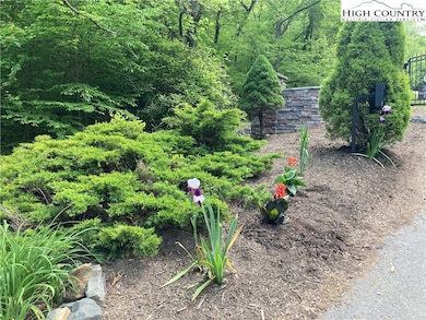 TBD New River Overlook (Lot 11), West Jefferson, NC 28694 - photo 3