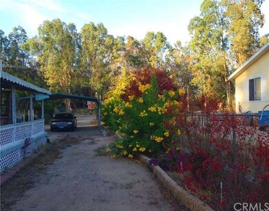 Beautiful Flowering Shrubs line the fence, pull th