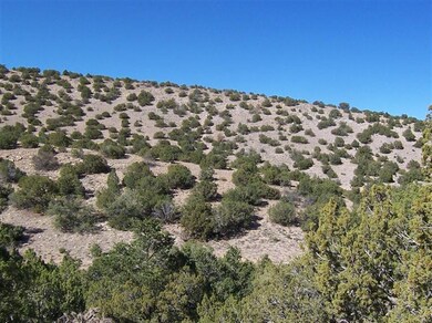 0 Camino Del Oso, Placitas, NM 87043 - photo 7