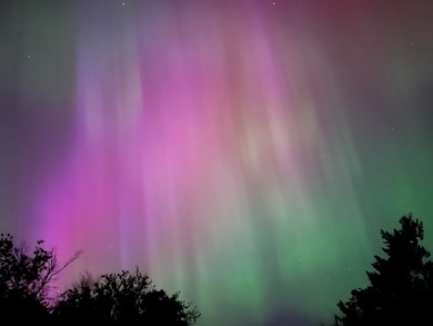 29411 N Dunn Rd, Chattaroy, WA 99003 - photo 3