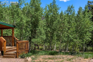 546 Pulver Rd, Lake George, CO 80827 - photo 6