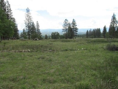373 Old Bentham Ln, Florence, MT 59833 - photo 7