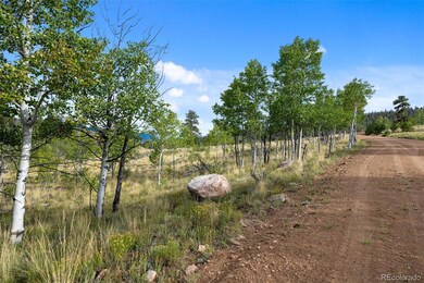 54 Lancelot Ln unit 10 & 11, Hartsel, CO 80449 - photo 7