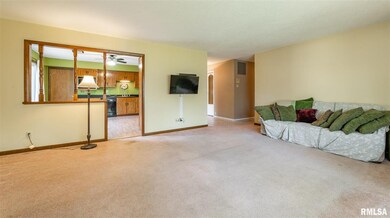 1413 Rutledge Dr, Lincoln, IL 62656 - photo 5