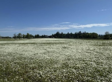 38588 Goar Rd, Scio, OR 97374 - photo 6