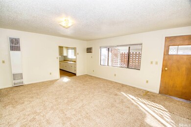 4300 Reno Hwy unit 1, Fallon, NV 89406 - photo 5