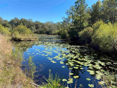 xx 3 Sisters Rd, Crawfordville, FL 32327 - photo 2