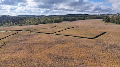 2428 Applegate Rd, Lucas, OH 44843 - photo 5