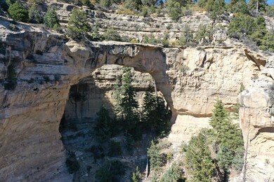 20250307155638688766000000-o