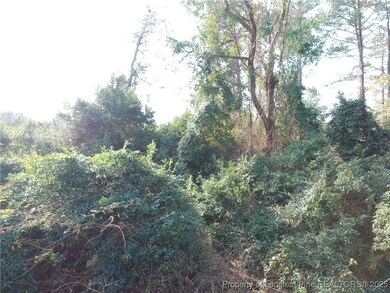 0 Blake Drive and Off Highway 401 Dr, Raeford, NC 28376 - photo 2