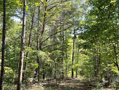 00 Marble Branch Trail, Walhalla, SC 29691 - photo 3