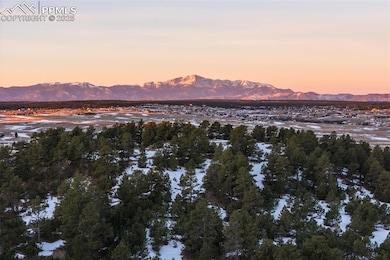 17245 Elbert Rd, Peyton, CO 80831 - photo 2