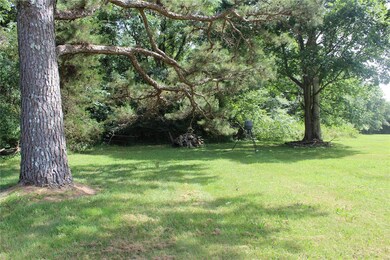 162 County Road 4221, Poplar Bluff, MO 63901 - photo 4
