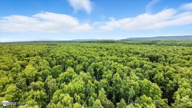 05-DJI_20250630080332_0390_D