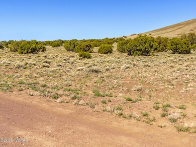 County Road 5106 edit 3 (1)