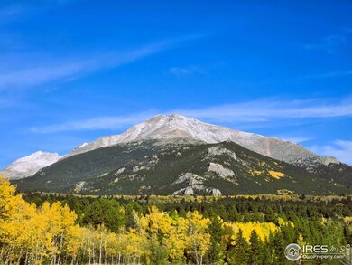 18673 Route 7, Lyons, CO 80540 - photo 2