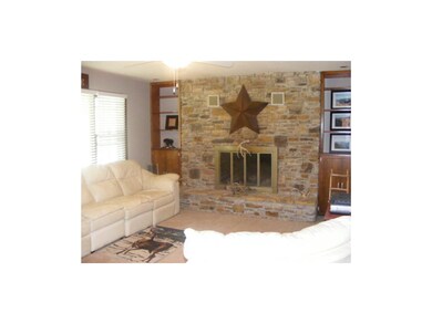 Rock fireplace in living room