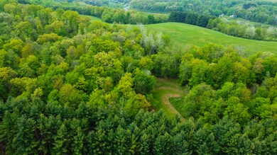 21-DJI_0065