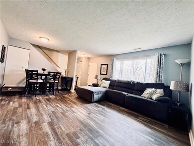 26637 Lake of the Falls Blvd, Olmsted Falls, OH 44138 - photo 2