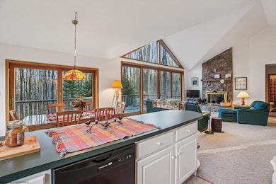 96 Sunfish Ct, Davis, WV 26260 - photo 4