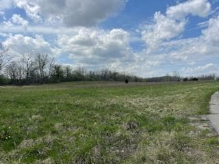 8710 Pentecost Hwy, Onsted, MI 49265 - photo 5