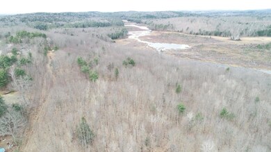 DJI_0499