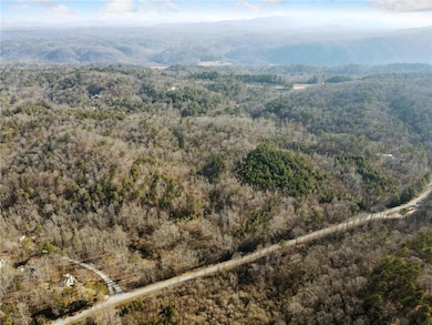 Bird's eye view featuring a mountain view and a wo