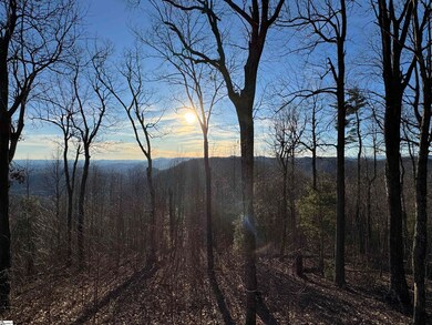 246 Bella Vista Ct unit CVN-CM-009, Zirconia, NC 28790 - photo 3