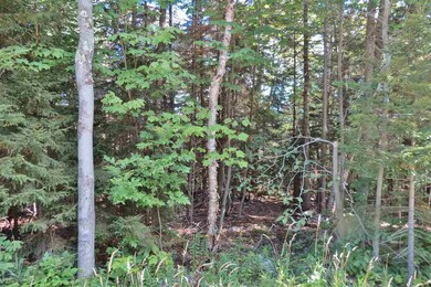 00 Route 100 S, Ludlow, VT 05149 - photo 6