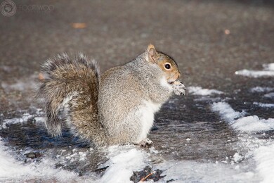 #26 Riverview Dr, Lackawaxen Township, PA 18435 - photo 5