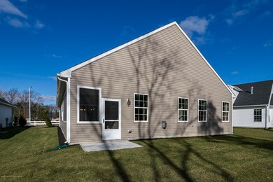 Montauk 5