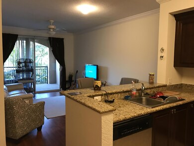 Living and Kitchen