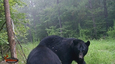 1354 Bryantown Rd, Rich Square, NC 27869 - photo 4