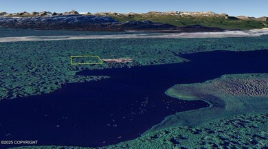 L6 B11 Onestone Lk (No Road), Skwentna, AK 99667 - photo 5