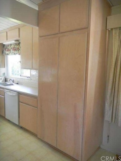 Updated kitchen, dishwasher and pantry cabinet sho