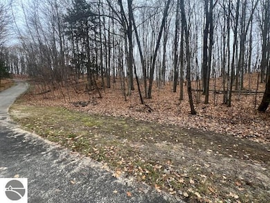 0000 Wasservalden St, Custer Township, MI 49615 - photo 2