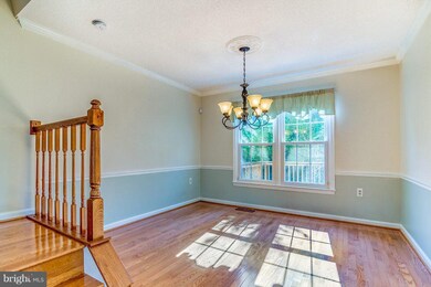 8111 Squirrel Run Rd, Springfield, VA 22152 - photo 7