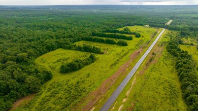 11-web-or-mls-Long Branch Farms Aerial-1