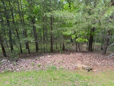 Lot 251 Owl Ridge Way, Jasper, GA 30143 - photo 5