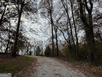 3439 TRACT 1 Providence Church Rd, Lavonia, GA 30643 - photo 2