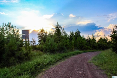 NoBusinessCreek Phillips Ln, Empire, AL 35063 - photo 3