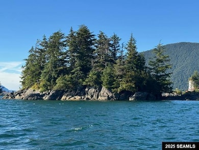 0 Legal Address Only unit Iffish Island 25307, Sitka, AK 99835 - photo 3