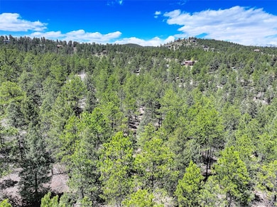 456 Lo Meadow Ln unit 13, Bailey, CO 80421 - photo 6