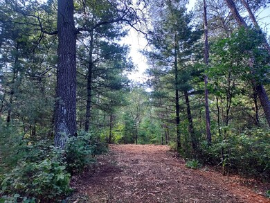 Cumberland Court Dr, Friendship, WI 53934 - photo 4