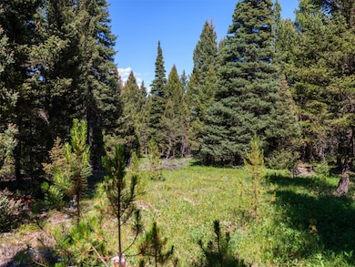 Open meadow to build in.