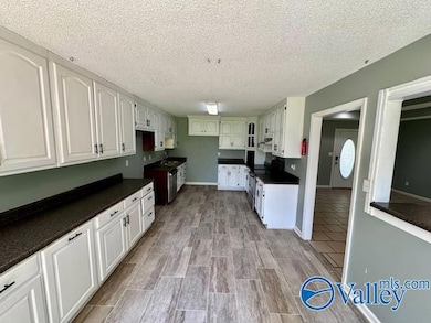 1439 Carter Grove Rd, Hazel Green, AL 35750 - photo 5