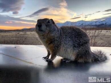 6055 Mountain View Dr, Winnemucca, NV 89445 - photo 6